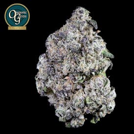 Hash Burger cultivated by Iron Lung
