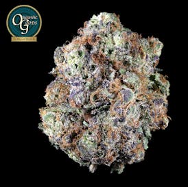 Pink Panther cultivated by Magoo's Garden