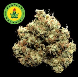 TKO cultivated by Firefly Organics