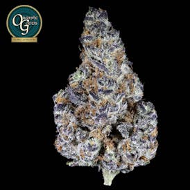 Mule Fuel cultivated by Royal Rush