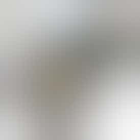 Stoney Grove Cold Cured Rosin Papaya Biscuits 1 G