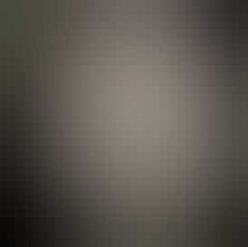 Ice Cream Candy cultivated by Stoney Grove