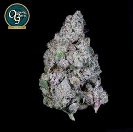 Deep Fried Ice Cream