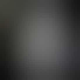 Deep Fried Ice Cream