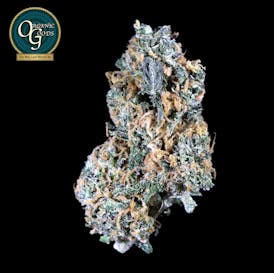 Super Lemon Haze cultivated by Lazy Daze