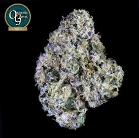 Sherbanger cultivated by Koala Tea Grows