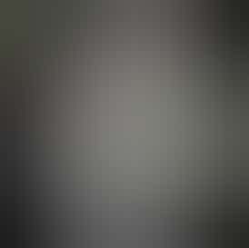 Sherbanger cultivated by Koala Tea Grows