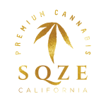 1G ROMULAN SYRINGE - SQZE