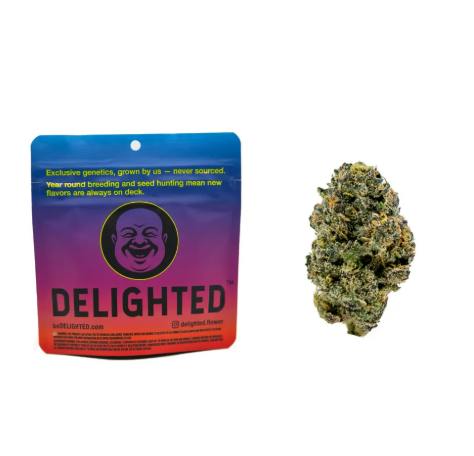 DELIGHTED 7G SMALLS - BOLINAS