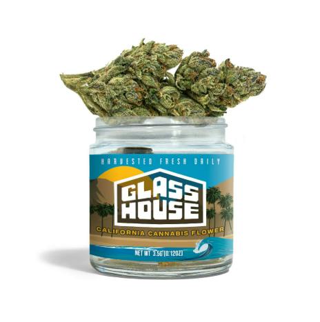 Black Garlic Gelato [3.5g Jar] by Glass House Farms