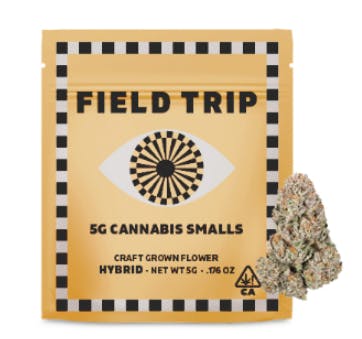 G33 - Field Trip