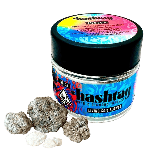 Blueberry Kush x Purple Kush | Hash Infused Flower | 3.5g