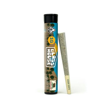 GLASS HOUSE - 1G PREROLL BIZCOTTI CREAM