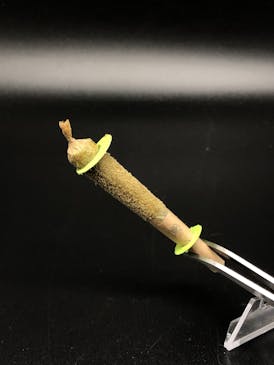 1g Infused Heater - 170.86mg THC - Blackberry Gelato