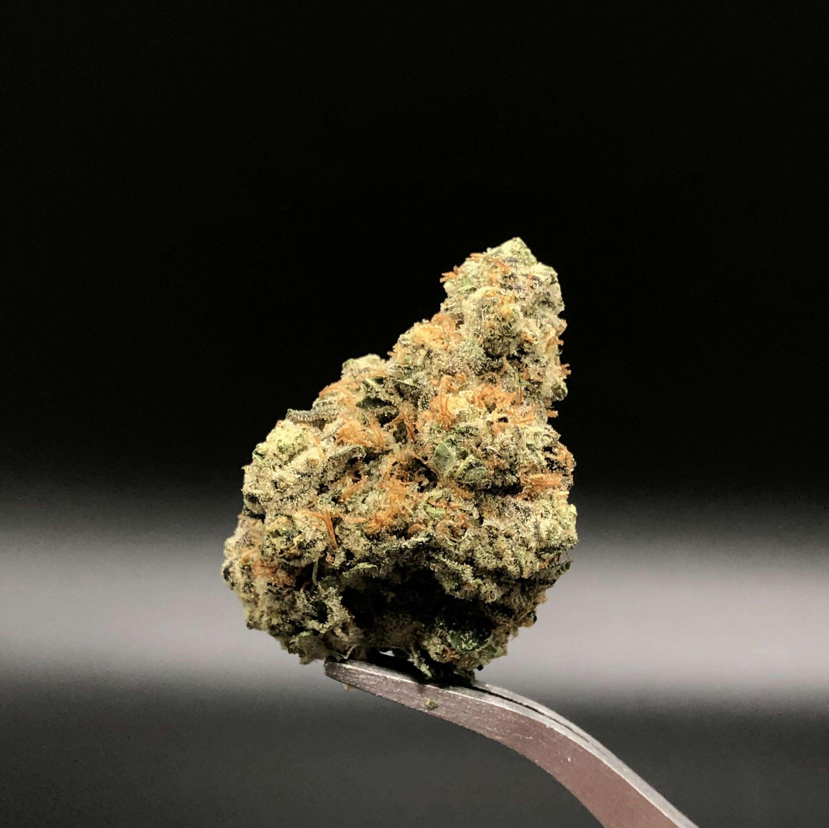 Mercy Fruit Haze - 27.90% THC