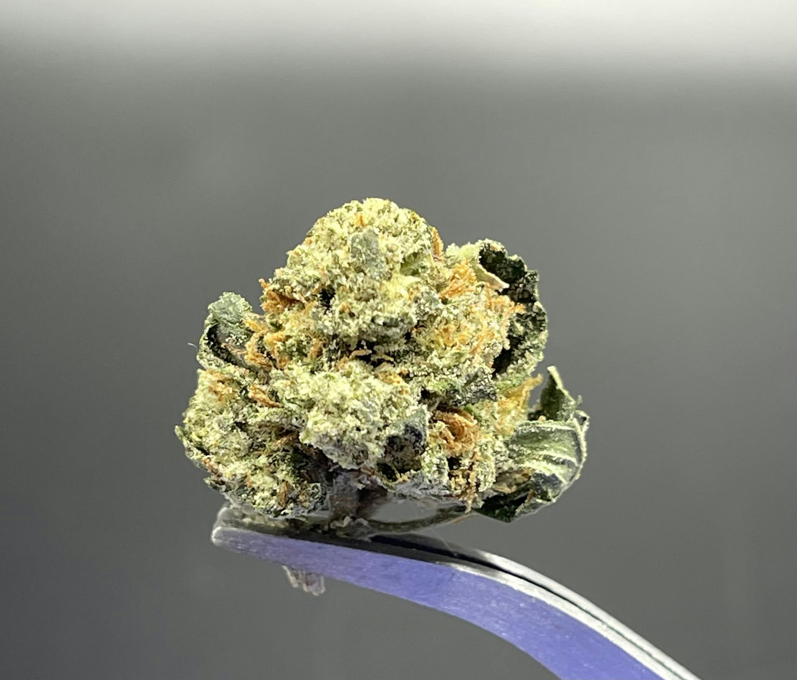 Raindance - 26.39% THC 2.85