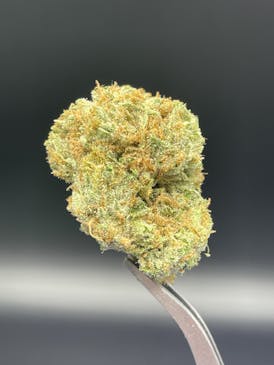 Mystery Train - 28.43% THC 3.22% Terps