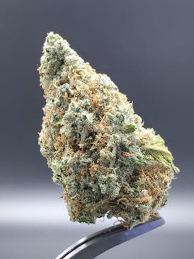 Watermelon Gelato - 23.28% THC 2.23% Terps
