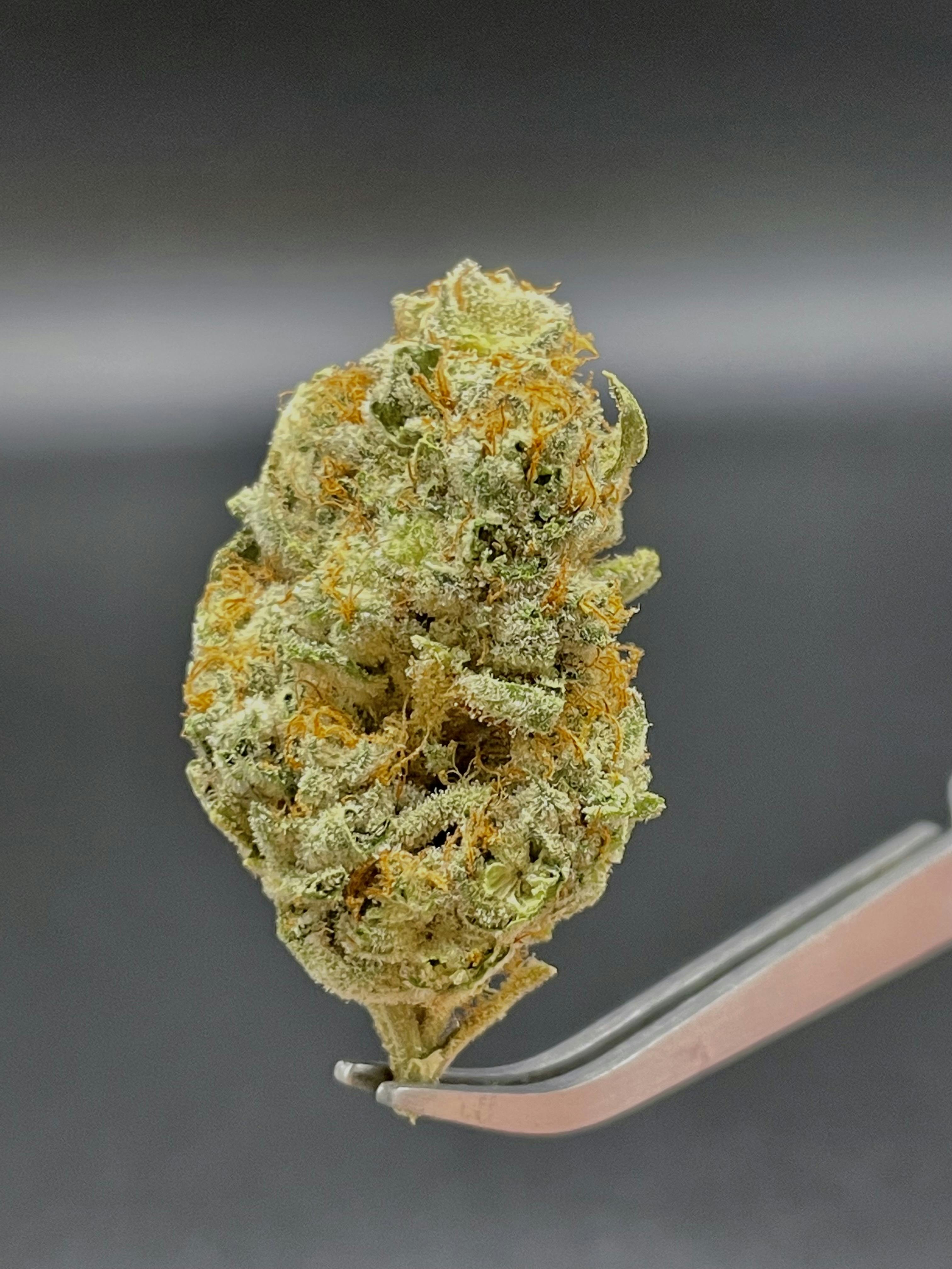 Skywalker