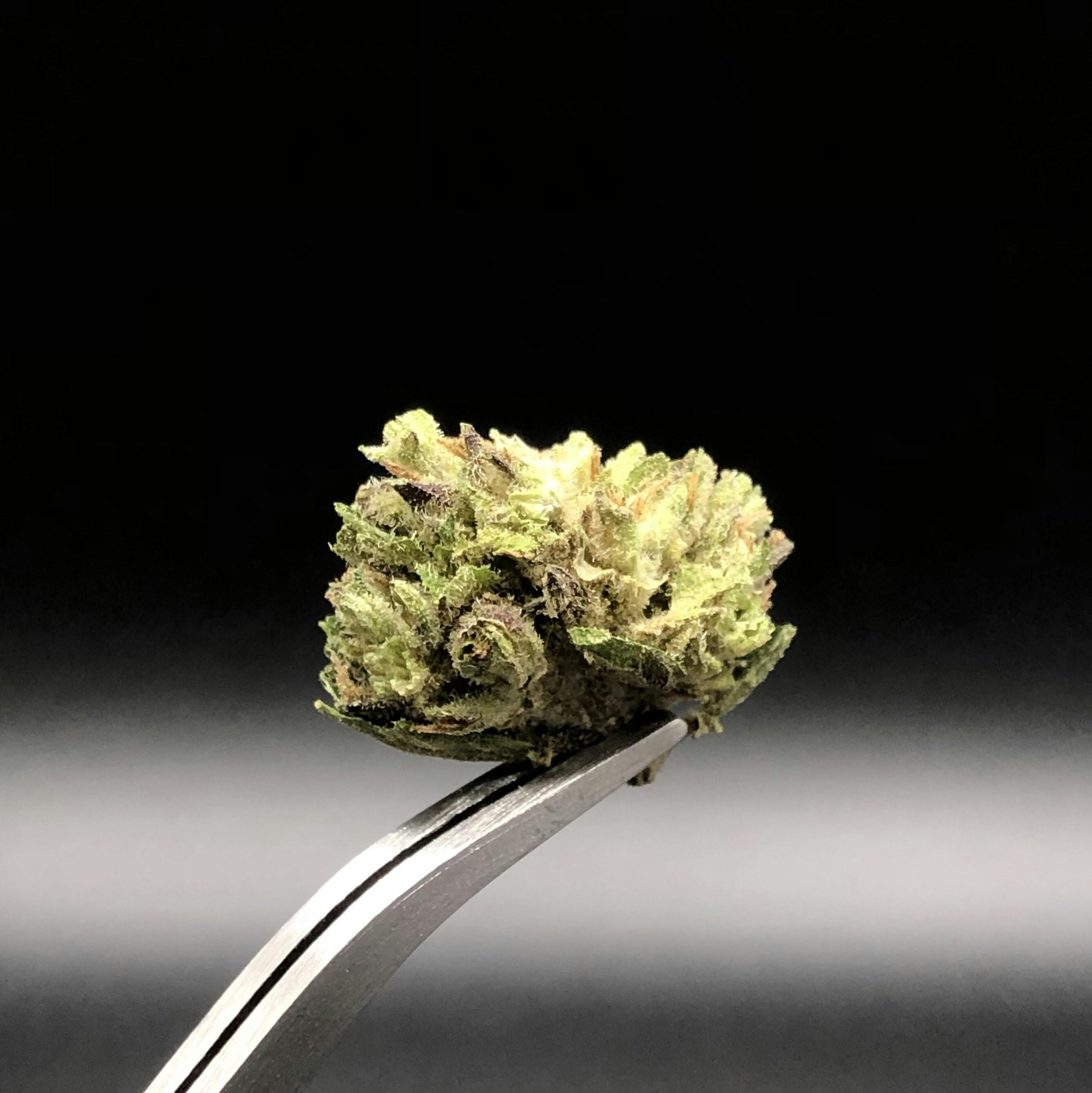Southern Sunset - 24.38% THC 2.84% Terps