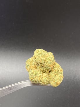 Indian Gold (Big Bud) - 24.83% THC