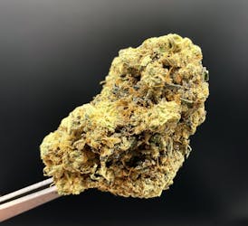 Chemdawg - 29.01% THC