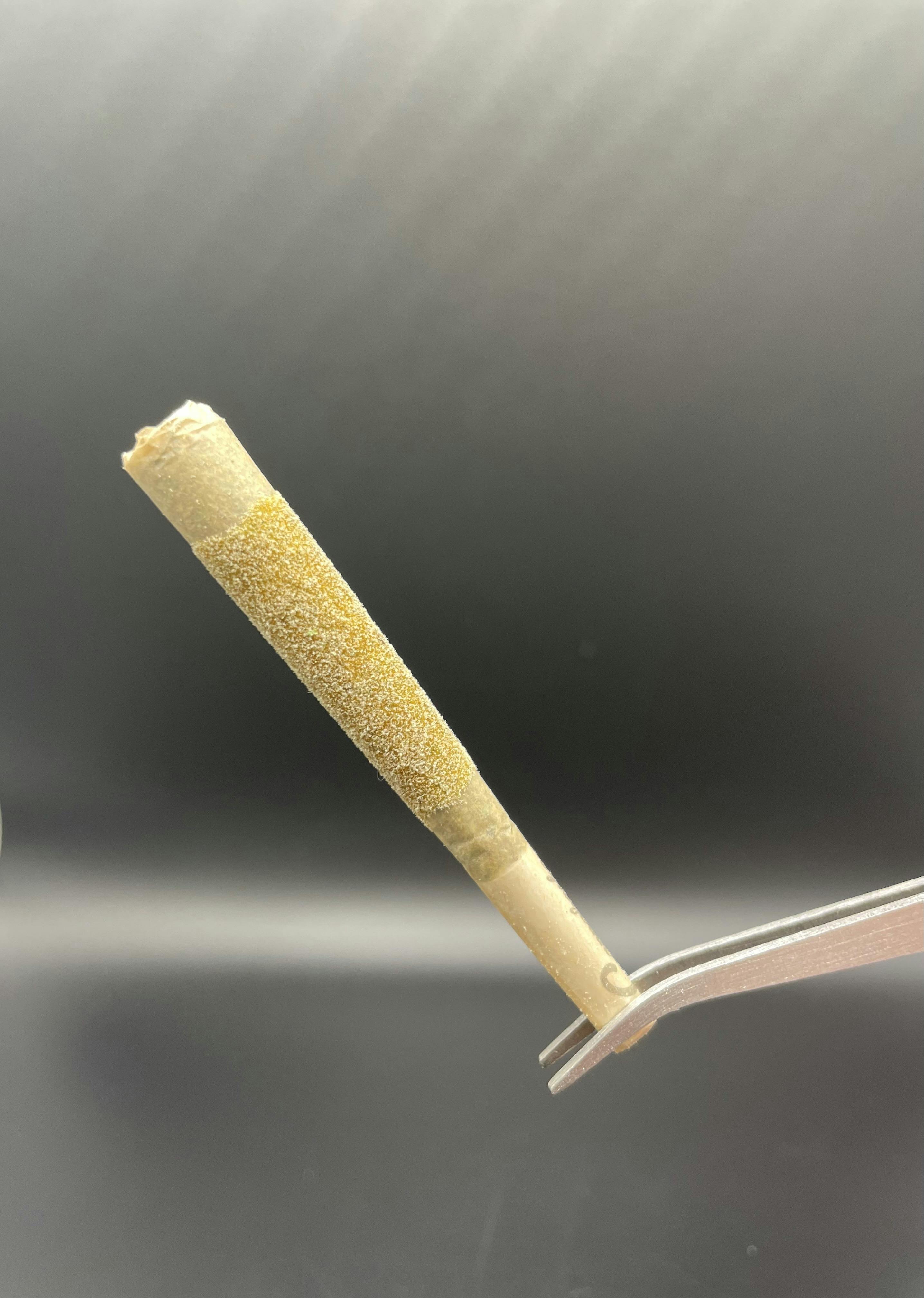 .5g Infused Heater 30.47% THC - Oreoz Cross
