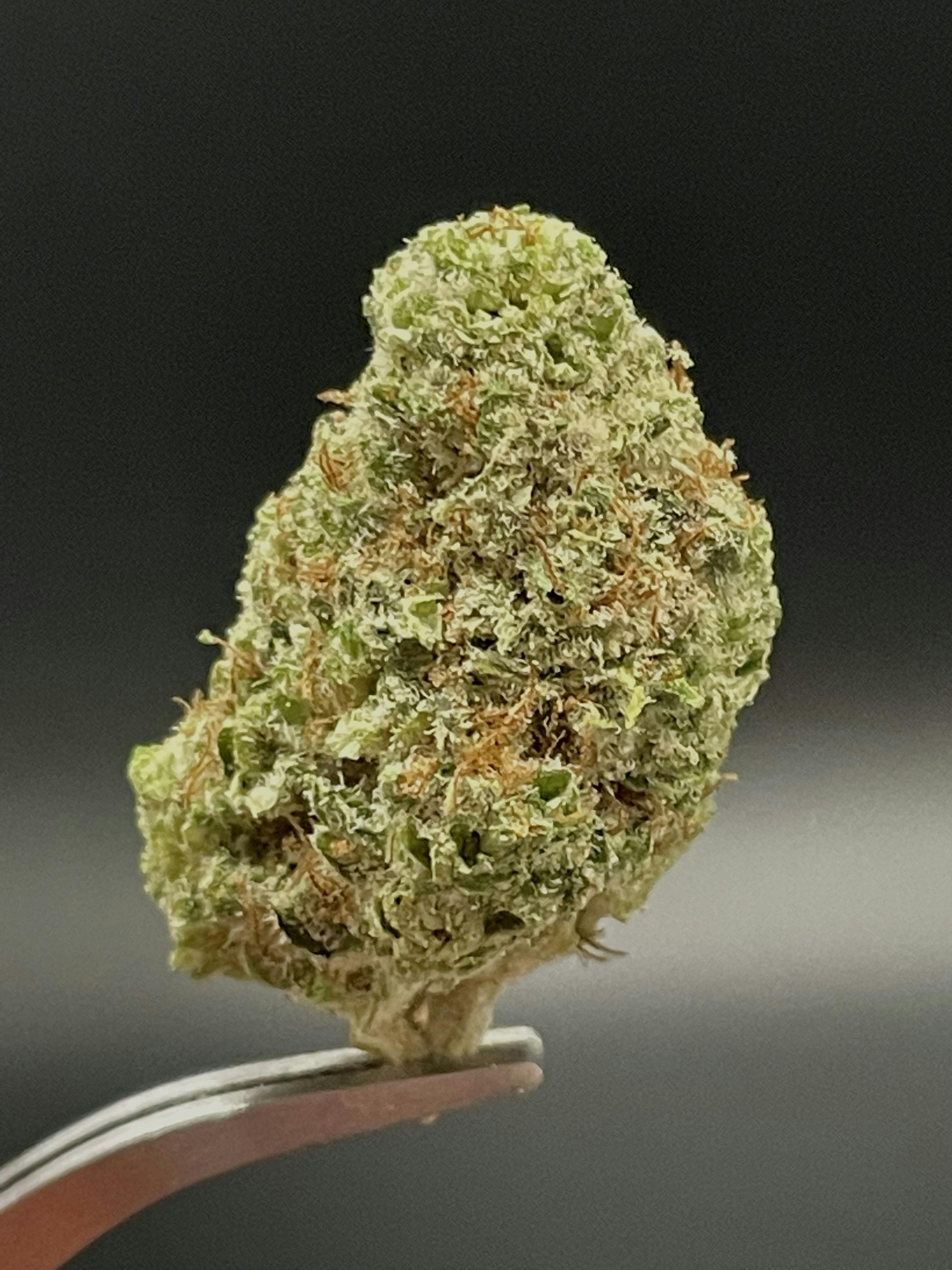 Gush Mints (Big Bud) - 25.29% THC