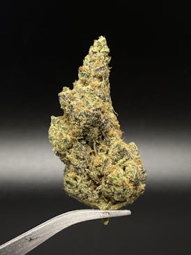 Garlic Cookies 30.54% THC