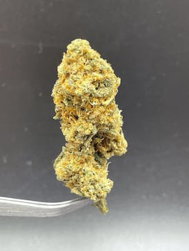 Wedding Pie - 24.44% THC