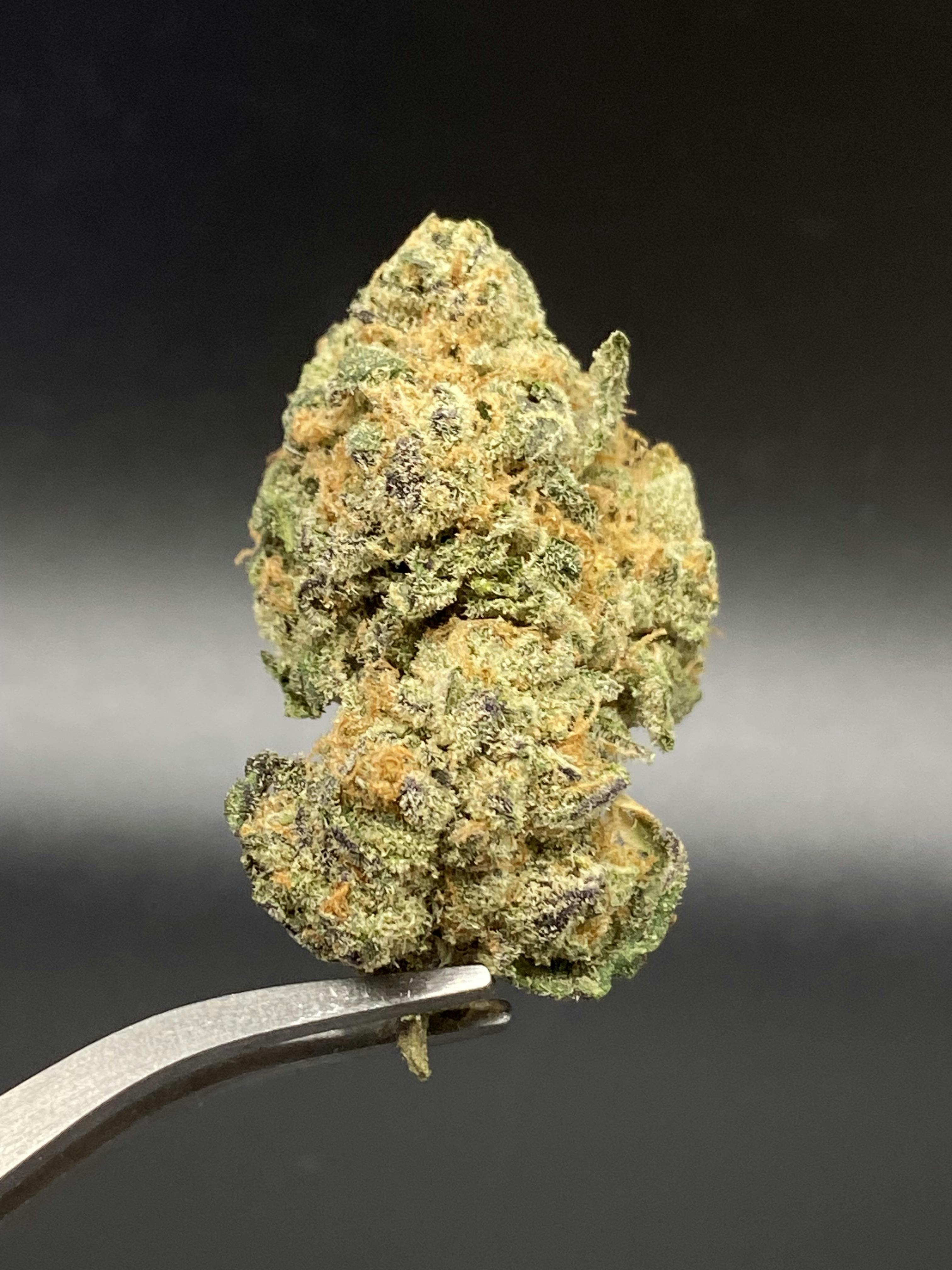 OG Kush Breath - 26.04% THC 3.34% Terps