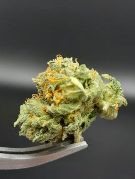 Jelly Breath - 23.41% THC