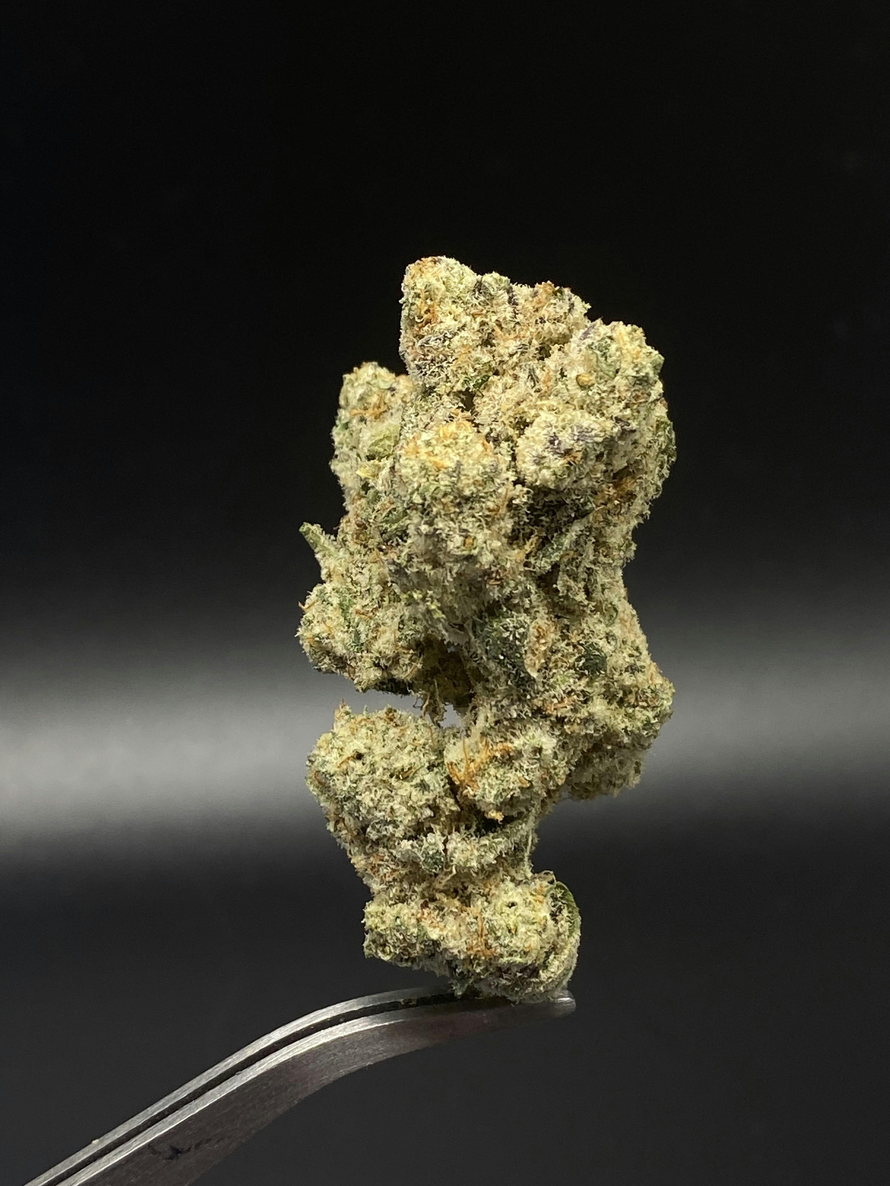 Gelato X (Big Bud) - 20.71% THC