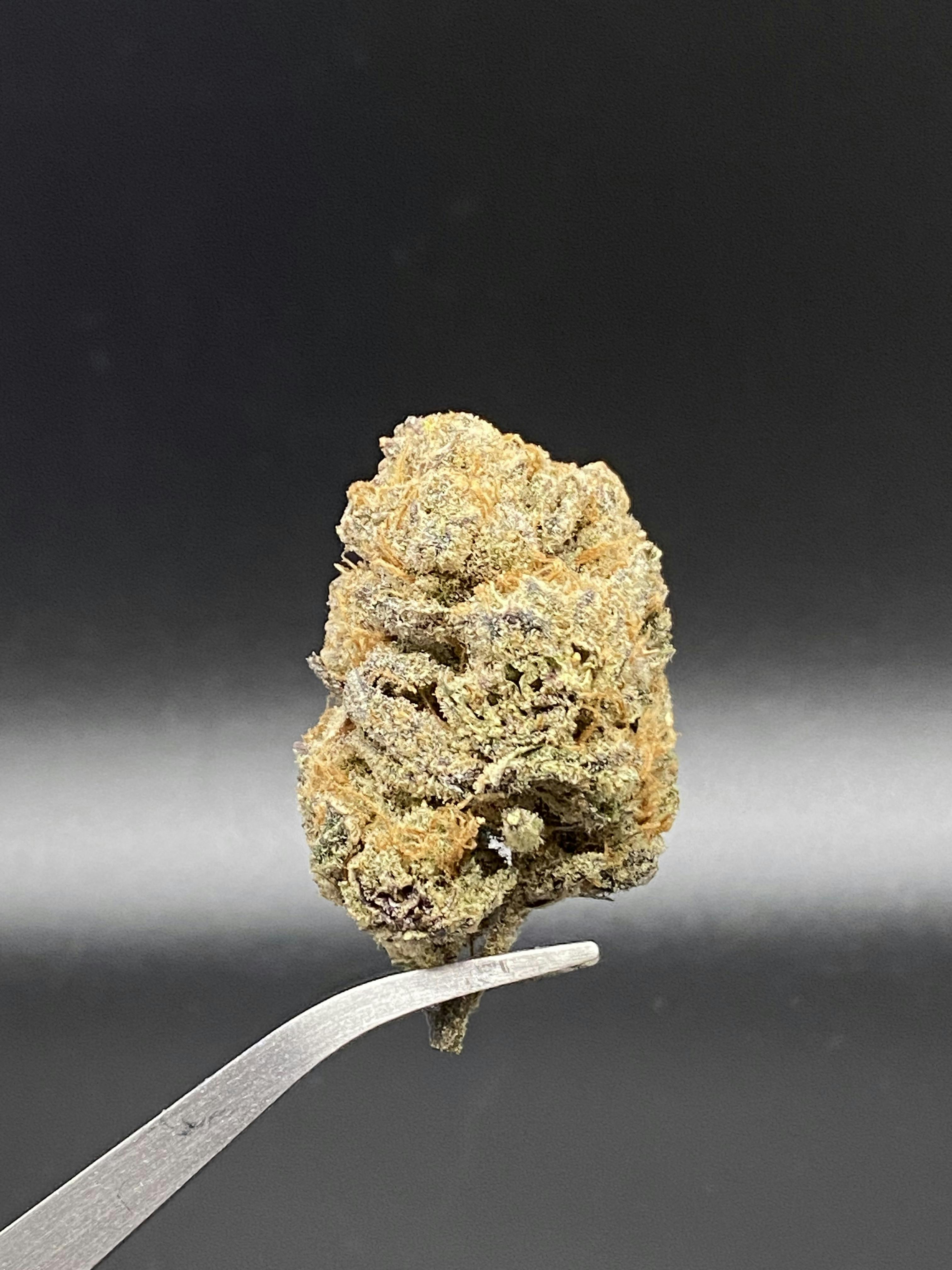 Hashburger (Big Bud) - 20.92% THC