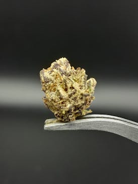 Ice Cream Runtz - 22.15% THC 1.68% Terps