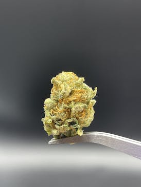 AK Thunderstorm - 26.89% THC 2.95% Terps