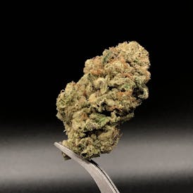 Peanut Butter Biscotti (Big Bud) - 21.67% THC