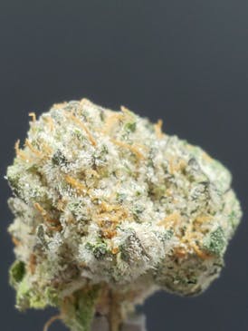 Papaya Bomb - 24.63% THC 1.91% Terps