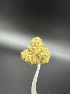 Sherb Cream Pie - 20.17% THC 1.63% Terps