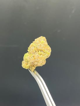 Lemon Orange - Big Bud - 24.11% THC 2.52% Terps