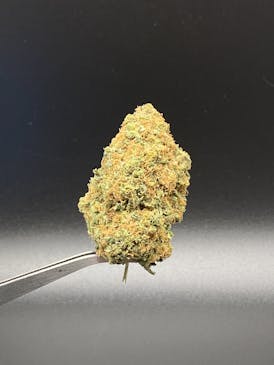 GMO Sunset (Big Bud) - 28.07% THC