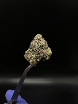 Ice Cream Cake - 26.02% THC