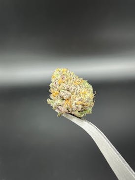 Hippie Charms - 27.64% THC