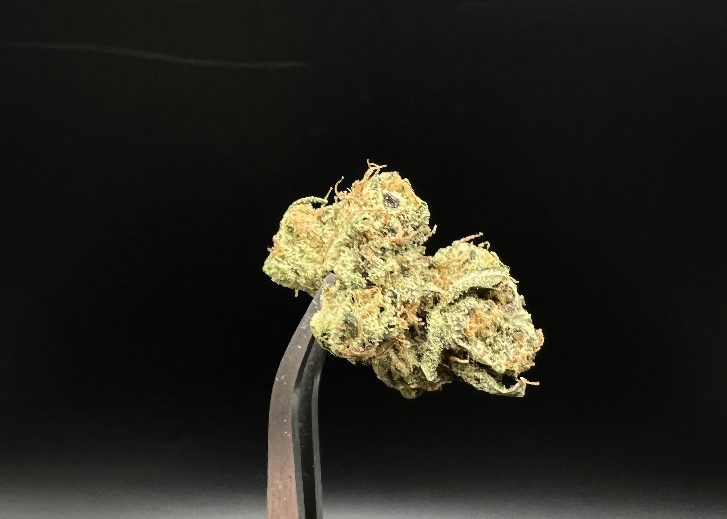 The Bridge - 23.43% THC 1.70% Terps