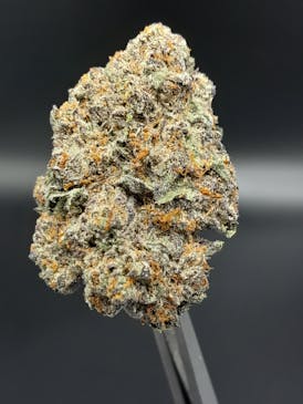 Fatso - 28.69% THC 4.54% Terps