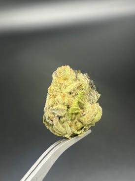GMO Sunset (big bud) - 27.96% THC