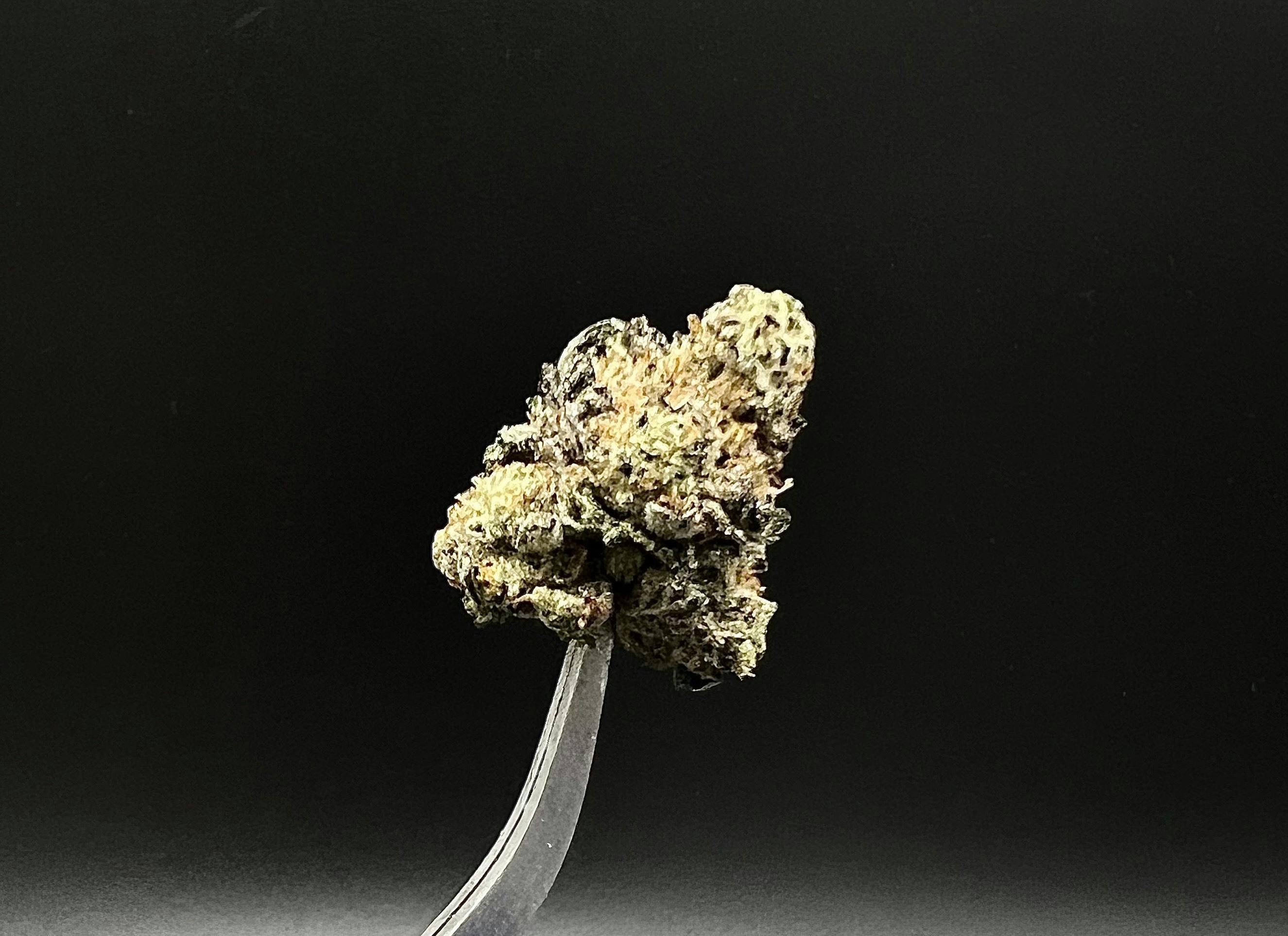 GMO - 29.86% THC 2.60% Terps