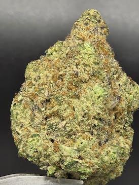 Mercy Fruit Haze - 26.66% THC