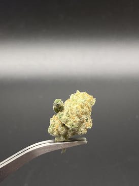 O-Face 31.83% THC