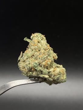 Super Boof (Big Bud) - 22.19% THC